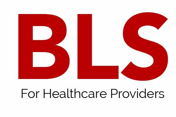 BLS Healthcare Provider Georgia CPR